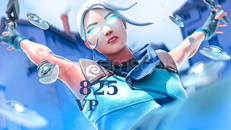 VALORANT VP 825 216TL 