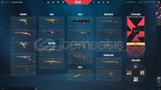 VALORANT YÜCELİK 3 HESAP SU FİYATINA