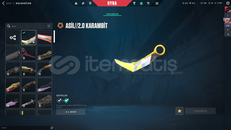 dia2 zararına dia2 skinli hesap