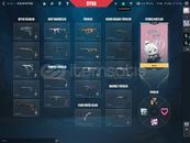 Valorantı barakıyom güzel hesap