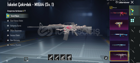 ????️VAMPİR SETLİ İSKELET ÇEKİRDEK M16 LI HESAP ????