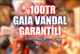  GAİA VANDAL GARANTİLİ RANDOM HESAP TR