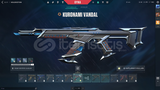 Vandal phantom skinli hesap