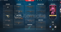 VCT 2023 Bıçaklı bol vandallı hesap