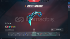 VCT 2025 KARAMBİTLİ DOLU HESAP