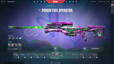 VCT25 KARAMBİTLİ+İLK MAİLLİ 310 LEVEL HESAP