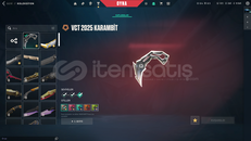 VCT CHAMPIONS KARAMBITLI UCUZ HESAP