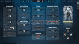 vct karambit