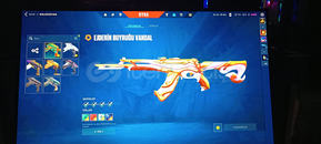 Vct karambit li dolu hesabım 