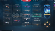 VCT LOCK İN MERHAMET 5 VANDAL 4 BIÇ +4k VP