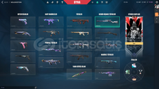 VCT LOCK INLI EFSANE MAINLEMELIK HESAP!!