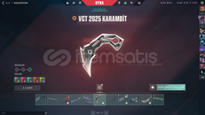 VCT25 Dolu ilk mailli hesap