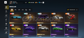 Vice online(flex city ) hesap