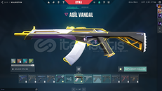 VIP VALORANT HESAP