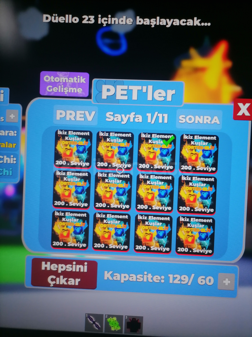 Vortex elit Pet  Vortex elit Pet