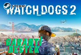 WATCH DOGS 2 - KİŞİYE ÖZEL HESAP