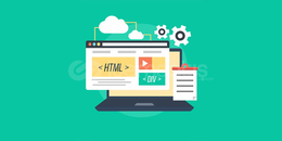 PROFESYONEL WEB TASARIMI 