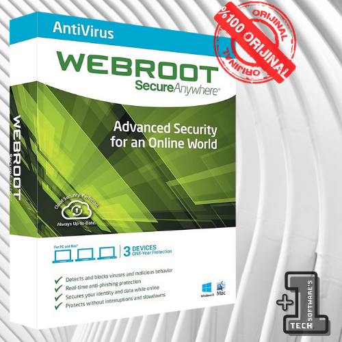Антивирус webroot SECUREANYWHERE Antivirus. Антивирус webroot. Av 01