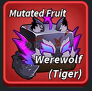 WEREWOLF MEYVESİ UYGUN!