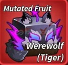 WEREWOLF MUTASYONU BLOX FRUIT