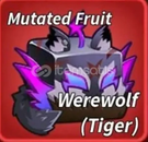 WereWolf Tiger / Blox Fruit 