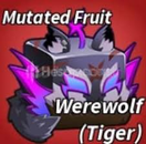 WEREWOLF (TİGER) EN UCUZU