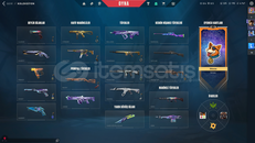 6 skinli valorant hesabı