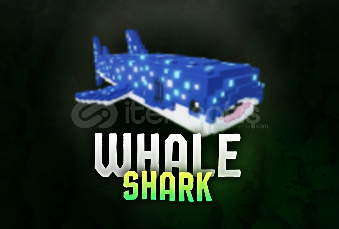⭐ Whale Shark | Raise Animals ⭐ Whale Shark | Raise Animals