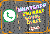 WhatsApp - 250 Adet Kanal Üyesi ⭐