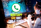 WhatsApp - 500 Adet Emoji Tepkisi ⭐