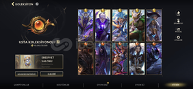 Wild Rift (230+ kostüm) (hero ful) 