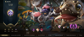 WİLD RİFT YÜKSEK ELO SMURF HESAP