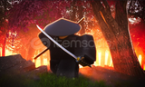 Sakura Scythe - ZO Samurai
