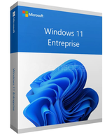 Windows 11 Enterprise Key