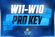 Windows 10/11 Pro Key