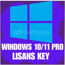 Windows 10/11 Pro Key Windows 10/11 Pro Key