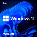 Windows 10/11 Pro Key