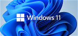 Windows 10/11 Pro Key + Garanti
