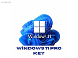 Windows 11 Pro Key + Sorunsuz + Garanti