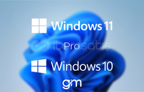 Windows 10-11 Pro Key Lisans Anahtarı
