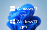 Windows 10-11 Pro Lisans Anahtarı