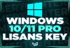 ⭐WİNDOWS 10/11 PRO LİSANS KEY [OTO TESLİM]⭐