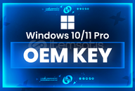 Windows 10/11 Pro Oem Lisans Key