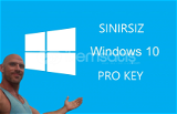 Windows 10 Professional Key
