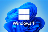 Windows 11 Pro Lisans anahtarı
