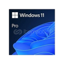 Windows 11 Pro Lisans Anahtarı Ömür Boyu