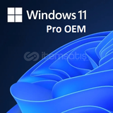 Windows 11 Pro OEM (Bind) Lisans Anahtarı