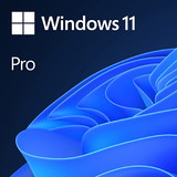 Windows 10-11 Pro Dijital Lisans