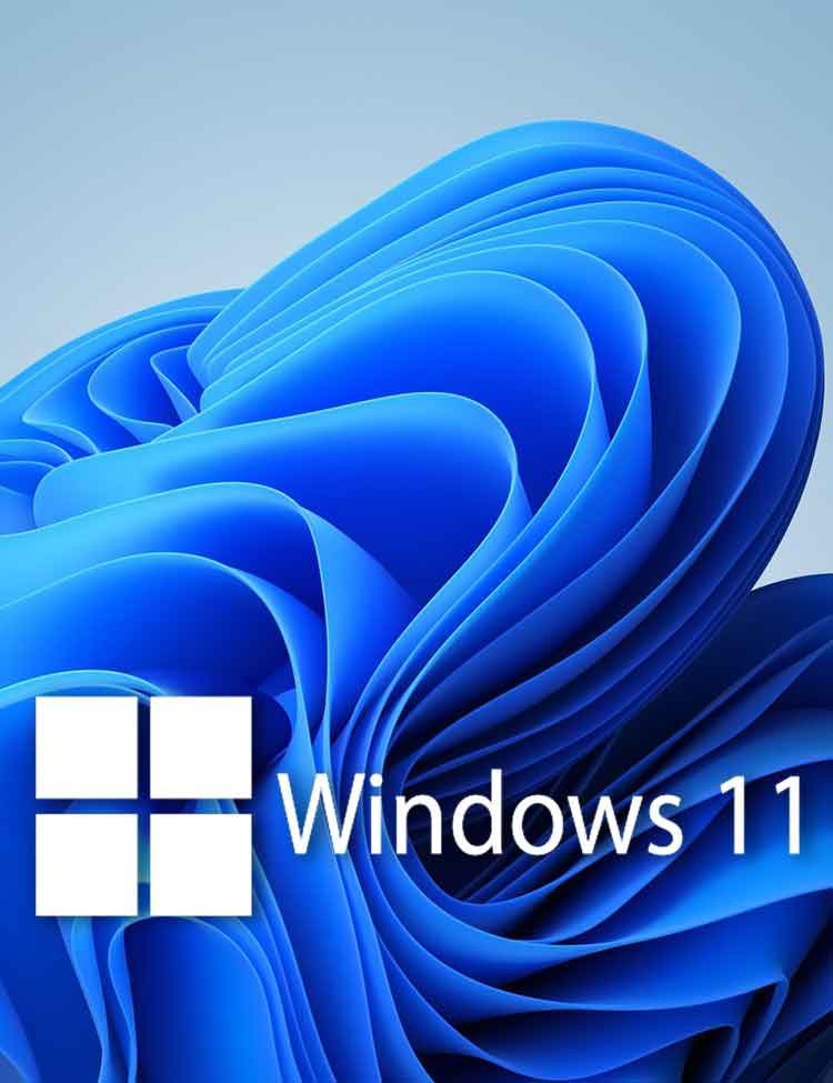 Windows 11 Pro Oem Lisans Anahtarı İtemsatış 7842