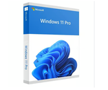 Windows 10/11 Pro OEM Online Aktivasyon